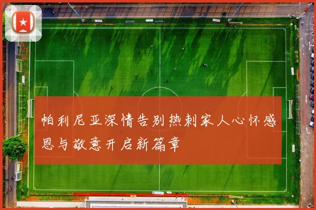 帕利尼亚深情告别热刺家人心怀感恩与敬意开启新篇章