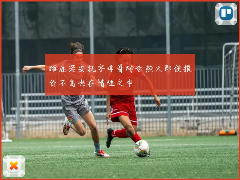 雄鹿若安抚字母哥转会热火即使报价不高也在情理之中