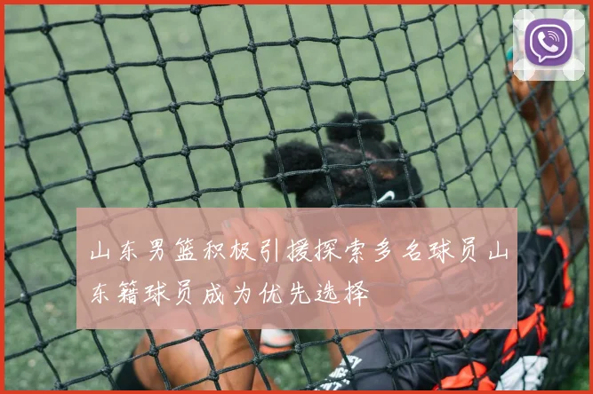 山东男篮积极引援探索多名球员山东籍球员成为优先选择