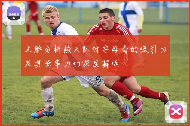 文胖分析热火队对字母哥的吸引力及其竞争力的深度解读