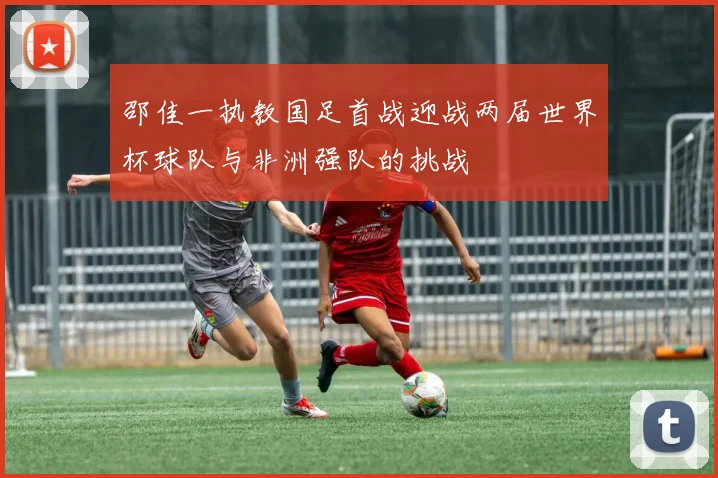 邵佳一执教国足首战迎战两届世界杯球队与非洲强队的挑战